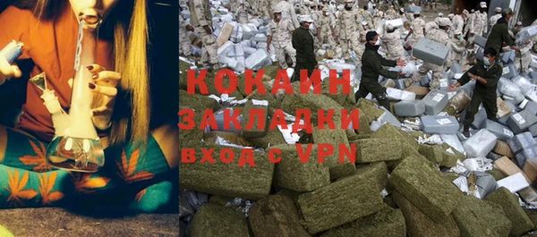 дживик Богданович
