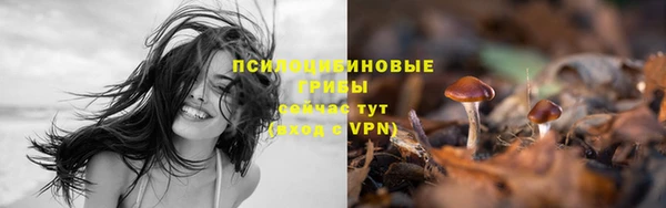 apvp Богородск