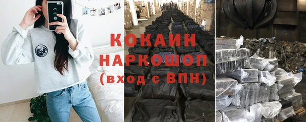 шишки Карпинск