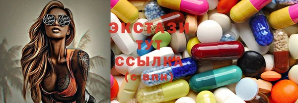 дживик Инта