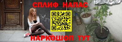спиды Ставрополь