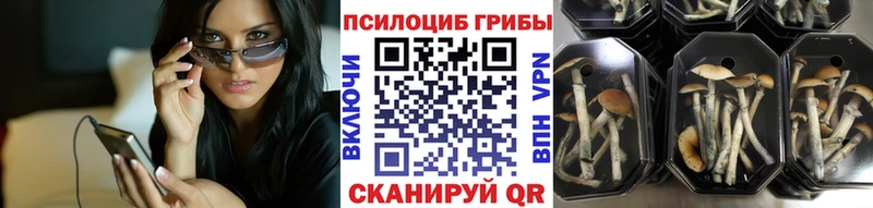 Галлюциногенные грибы мухоморы  hydra как войти  Новый Уренгой 