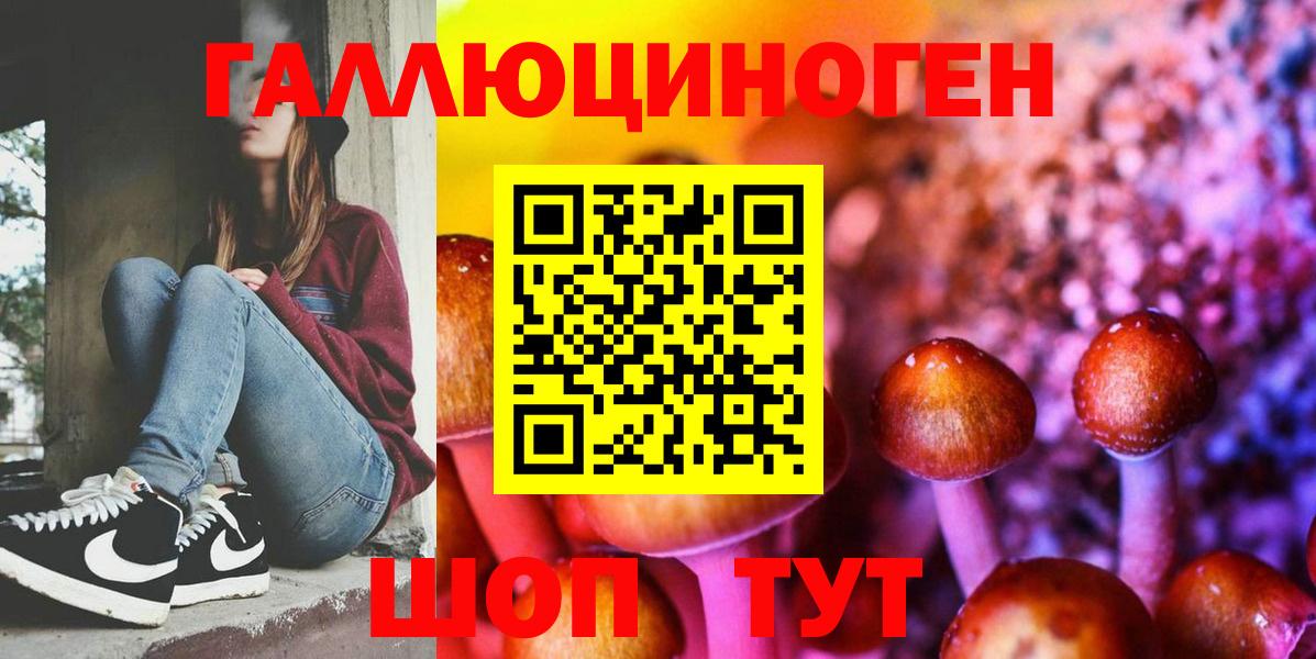 Псилоцибиновые грибы прущие грибы  цены   Новый Уренгой  Вход с VPN 